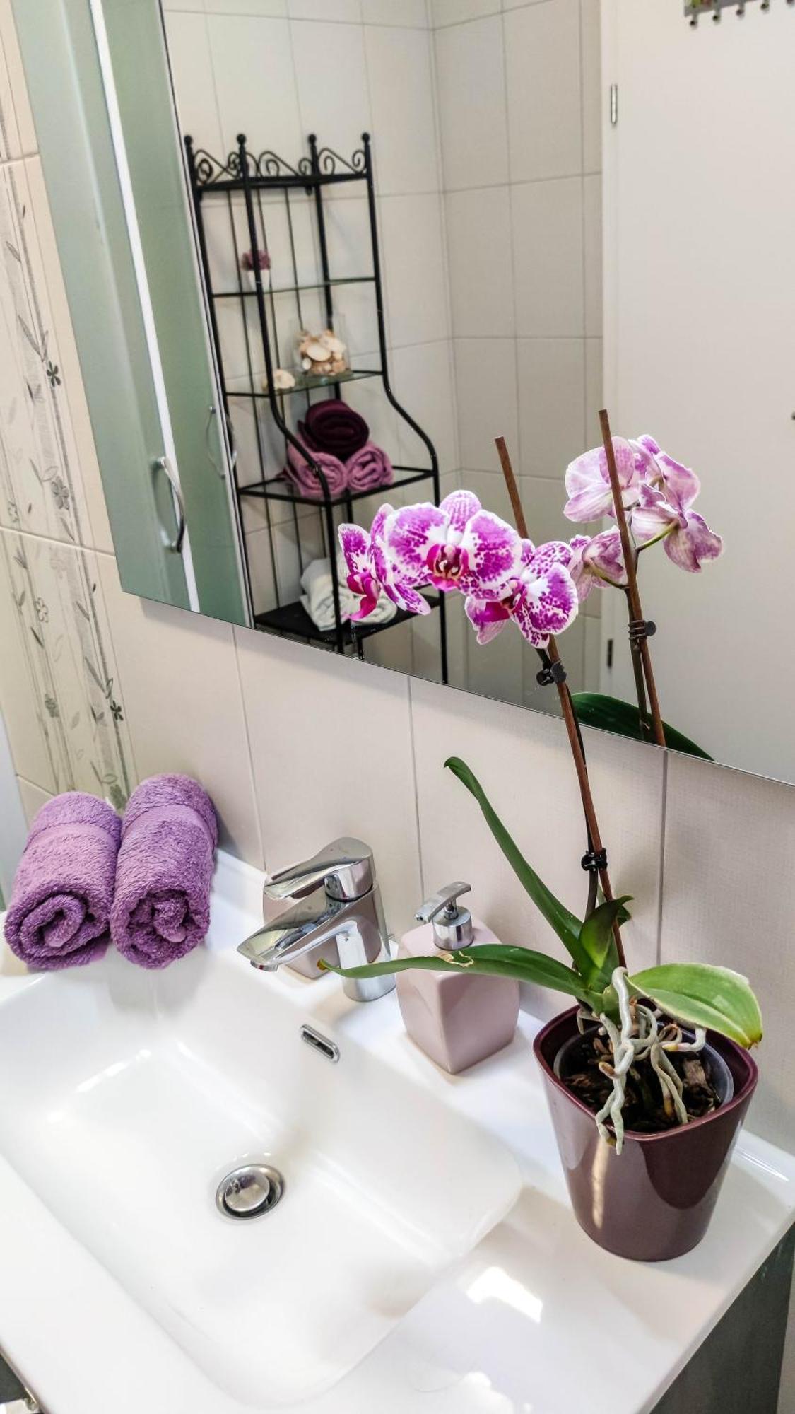 House Vertel Matulji Dış mekan fotoğraf